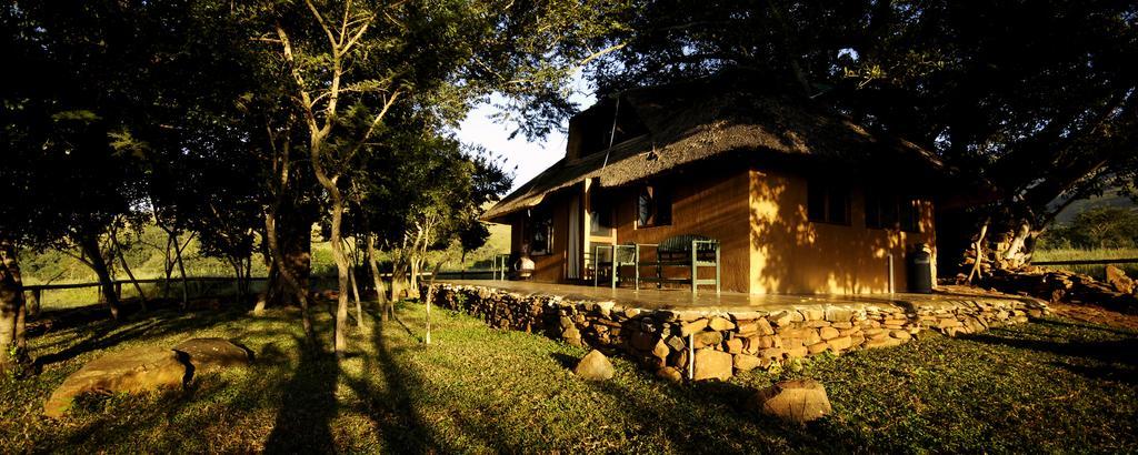 Caracal Lodge Alkmaar Номер фото