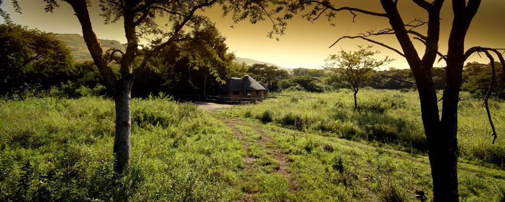 Caracal Lodge Alkmaar Номер фото