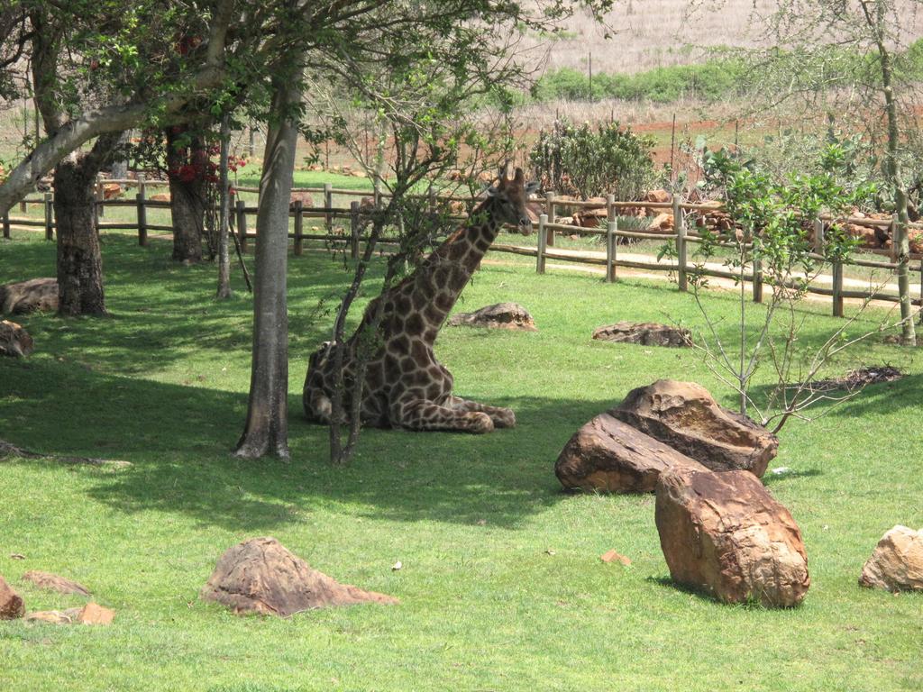 Caracal Lodge Alkmaar Екстер'єр фото
