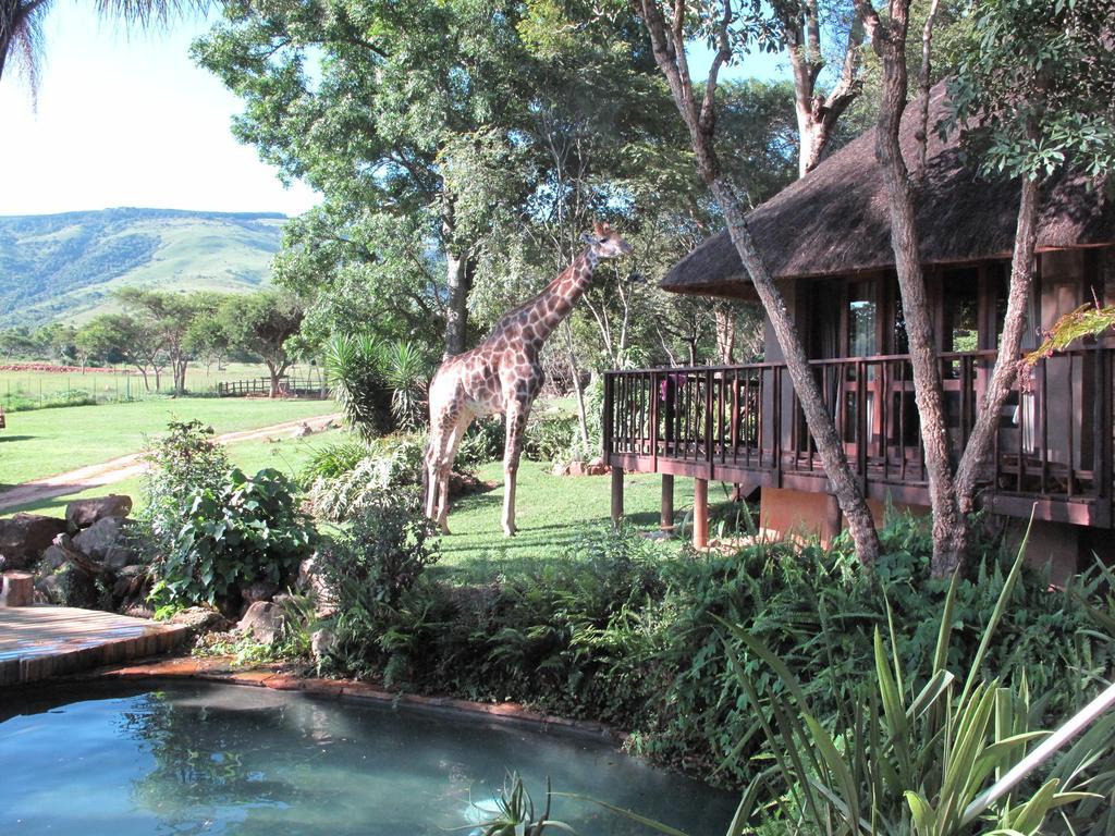 Caracal Lodge Alkmaar Екстер'єр фото